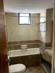 Regent Heights (D23), Condominium #565658041